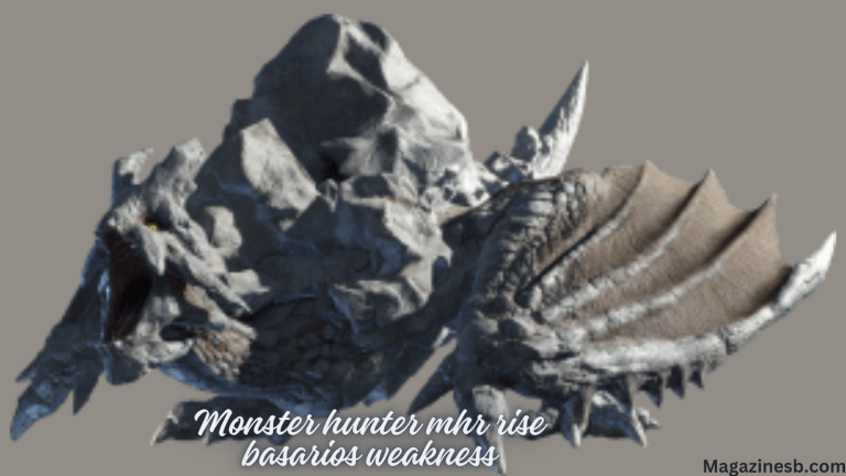 The Monster Hunter Rise – Basarios Weakness